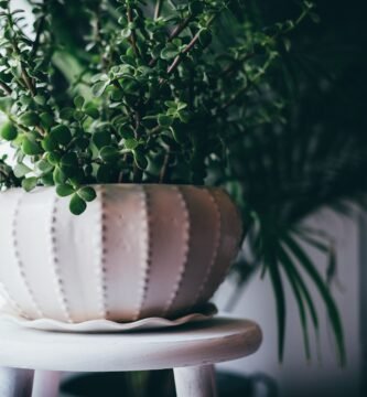 can solar powered generators be used indoors