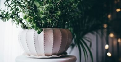 can solar powered generators be used indoors